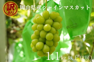 yӂ邳Ɣ[Łzs󂠂tVC}XJbg 2[iv1.1kgȏjYn ̂ Ԃǂ  uhE }XJbg ʕ  t[c R̃uhE Kawahara Green Farm q~s 