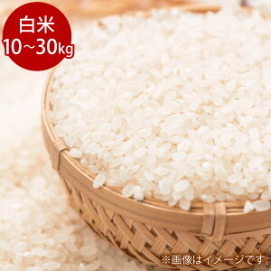 yӂ邳Ɣ[Łzߘa7NY ʂނ () 10kg 20kg 30kg Iׂ e RY    q~sy2025N10{蔭Jnz yVX[p[SALE 9J