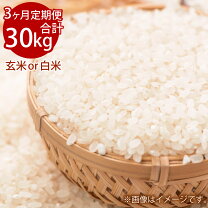 楽天市場】きぬむすめ玄米 30kg 送料無料の通販