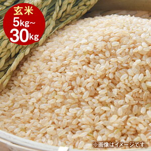 yӂ邳Ɣ[Łzߘa7NY RY ʂނ  5kg 10kg 20kg 30kg Iׂ e   CX  uh H H Y Hi   S苭 _炩  