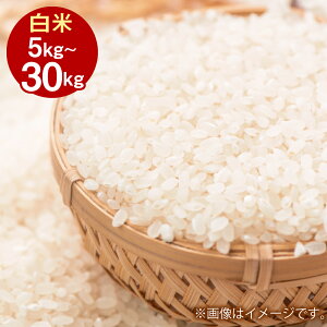yӂ邳Ɣ[Łzߘa7NY ʂނ () 5kg 10kg 20kg 30kg Iׂ e RY    q~sy2025N10{蔭Jnz