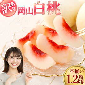 【ふるさと納税】【訳あり】袋掛け 岡山白桃 サイズ不揃い 4～7玉 1.2kg以上 家庭用 ブランド桃 モモ はなよめ 白鳳 清水白桃 白麗 白皇 恵白 白露 くだもの 冷蔵 岡山県産 国産 岡山県 倉敷市 送料無料 【2026年7月上旬～2026年9月上旬まで発送】10000円 1万円