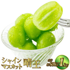 yӂ邳Ɣ[ŁzIׂeʁԂǂ 2025N s\ VC}XJbg  1[i600gj2[iv1kgj}XJbg RY  Mtg fU[g H _Ȃ Yny