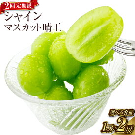 【ふるさと納税】【2ヶ月定期便】シャインマスカット 晴王 1房（約600g）2房（合計約1kg）計約1.2kg～約2kg ＜選べる容量＞ぶどう 2026年 先行予約 ブドウ マスカット 岡山県産 ギフト 産地直送【2026年9月上旬より順次発送予定】