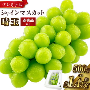 yӂ邳Ɣ[Łz v~A VC}XJbg  1[`2[iv500g`1.4kgjIׂeʁԂǂ 2025Nx s\ ԏGiȏ Mtg nmt[c 炲 Ȃ ʕ t[