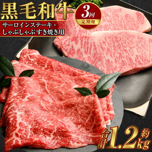 yӂ邳Ɣ[Łzy3ցzјa T[CXe[Li400gj×2EԂ Ăpi400gj×1 v1.2kg A4 ȏ t    T[C [X X