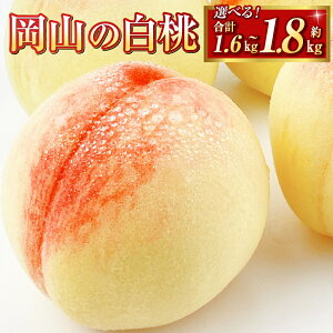 yӂ邳Ɣ[ŁzR̔ 200g ȏ× 8 250g ȏ× 6 300g ȏ× 6 Iׂeʁ 2025N s\     { ̍  RY t[c ʕ ʕ 