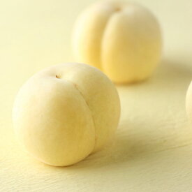 【ふるさと納税】岡山県産 冬桃がたり ＜選べる内容量＞ 計約600g（約200g×3個入り）・計約1.2kg（約200g×6個入り） 桃 もも モモ くだもの 果物 果実 フルーツ 冷蔵 国産 岡山県 倉敷市 送料無料 【2025年11月下旬～2026年1月上旬迄順次発送予定】