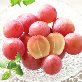 【ふるさと納税】岡山県産 桃太郎ぶどう・クイーンニーナ セット 各1房 計約1kg（約500g×2房） 種なし 大粒 葡萄 ブドウ ぶどう くだもの 果物 果実 フルーツ 詰め合わせ 冷蔵 国産 岡山県 倉敷市 送料無料 【2026年8月上旬～11月上旬まで順次発送予定】