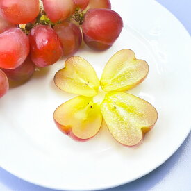 【ふるさと納税】岡山県産 マイハート 約500g×1房 ハート型 糖度 約20度 種なし 皮ごと 葡萄 ブドウ ぶどう くだもの 果物 果実 フルーツ 冷蔵 国産 岡山県 倉敷市 送料無料 【2026年9月上旬～11月上旬まで順次発送予定】