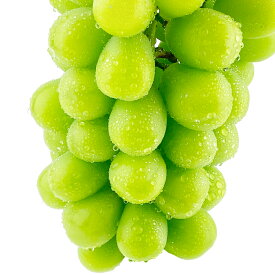 【ふるさと納税】 シャイン マスカット 晴王 1房～2房 約700g～約1.2kg 2回 3回 ＜選べる定期便＞ぶどう 先行予約 9月・10月・11月発送ブドウ 葡萄 岡山県産 上品な香り フレッシュ 【2026年9月上旬より発送開始】