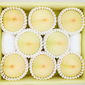 yӂ邳Ɣ[Łz 2026N s\ R iӐjƒp 2kg 6`9ʓ   RY Y t[c ʕ IƂoXPbg@ l ZȊÂ J 傫 Ö 