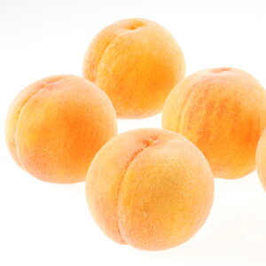 yӂ邳Ɣ[Łz R  ƒp 2kg 6`9ʓ   RY Y t[c ʕ IƂoXPbg@ l ZȊÂ J 傫 Ö W[V[ Mtg s