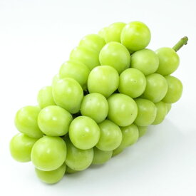 【ふるさと納税】ご家庭用 シャイン マスカット 2～3房 約1.2kg ブドウ 葡萄 岡山県産 国産 フルーツ 果物 直送！せとうちバスケット 倉敷市 2025年 先行予約 【2026年9月上旬～10月下旬 発送予定】