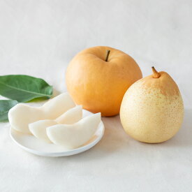 【ふるさと納税】梨 2025年 先行予約 あたご梨・鴨梨（ヤーリー）詰合せ 合計約2kg・合計約3kg・合計約4kg・合計約4.5kg 贈答箱 岡山県産 ギフト 石原果樹園 ＜選べる内容量＞ 秋の味覚 酸味 贈答用 【2025年11月下旬～12月下旬迄発送予定】