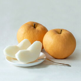 【ふるさと納税】梨 2025年 先行予約 備前横綱梨（あたご梨） 1玉・2玉・3玉 1玉あたり1～1.4kg 贈答箱 ナシ なし 岡山県産 国産 フルーツ 果物 ギフト 石原果樹園 ＜選べる内容量＞ 梨 果物 フルーツ 【2025年11月下旬～12月下旬迄発送予定】