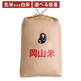【ふるさと納税】米 備前乙女米 玄米・白米 4kg・5kg・10kg・20kg・30kg 1袋・2袋 岡山県産 石原果樹園 ＜選べる種類・内容量＞ 【 主食 ご飯 乳酸菌栽培 お弁当 おにぎり 適した 品種 】【2025年11月下旬～2026年9月下旬迄発送予定】