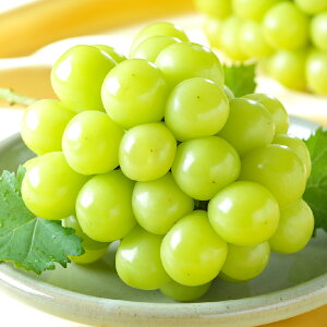 yӂ邳Ɣ[ŁzIׂeʁԂǂ 2025N s\ VC}XJbg  1[`10[ 400g`5kg uhE  RY Y t[c ʕ Mtg@ R̂Ԃǂ R̉ʕ R