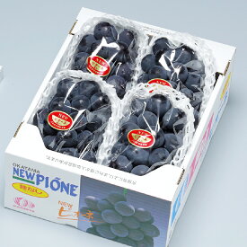 【ふるさと納税】岡山県産 ニューピオーネ ＜選べる容量＞ 1房～6房 約600g～約2kg ぶどう ブドウ 葡萄 果物 フルーツ くだもの 果実 岡山の葡萄 デザート 食後 種なし 大粒 冷蔵 国産 岡山県 倉敷市 送料無料 【2026年8月下旬～9月下旬迄順次発送予定】