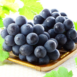 yӂ邳Ɣ[Łz j[ sI[l 1[`6[ 600g`2kg Iׂeʁ Ԃǂ 2025N s\ ƒp uhE  RY Y t[c ʕ@ Ȃ 嗱 Â ʏ` x _ o