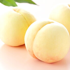 【ふるさと納税】岡山白桃 ロイヤル ＜選べる内容量＞ 計約600g / 計約1kg / 計約1.2kg / 計約2kg / 計約4kg もも モモ 桃 くだもの 果物 果実 フルーツ 家庭用 贈答 贈り物 ギフト 冷蔵 岡山県産 国産 岡山県 倉敷市 送料無料 【2026年7月上旬～8月下旬迄順次発送予定】