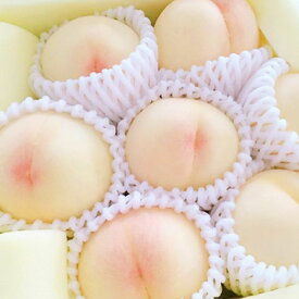 【ふるさと納税】桃 2025年 先行予約 岡山 白桃 ロイヤル ＜選べる内容量＞ 計約900g / 計約1.5kg / 合計約2kg / 合計約4kg もも モモ 岡山県産 国産 フルーツ 果物 ギフト 橋田商店　 岡山の白桃 芳醇な香り 上品な甘み 柔らかい 【2026年7月上旬～8月下旬 発送予定】