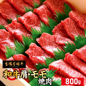 �y�ӂ邳�Ɣ[�Łz�y�Ԑg�D���͂������z�g���F���� ���E���� �ē� ��800g �y���R���Y�E���јa���z �a�� ���� ���� ���~�� ������ �Ă��� ���Y �Ⓚ ���R�� �q�~�s ��������