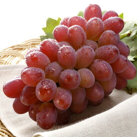 【ふるさと納税】冬ぶどう 紫苑 1房（700g以上） 葡萄 ぶどう ブドウ 種なし フルーツ 果物 果実 くだもの 冷蔵 岡山県産 国産 岡山県 倉敷市 送料無料 【2026年10月下旬～11月下旬迄順次発送予定】