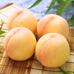 yӂ邳Ɣ[ŁzR Iׂeʁ 4`5ʁiv1.0kgȏj / 8`10ʁiv2.0kgȏj     t[c ʕ ʎ  L܍͔| ① RY Y R q~s 