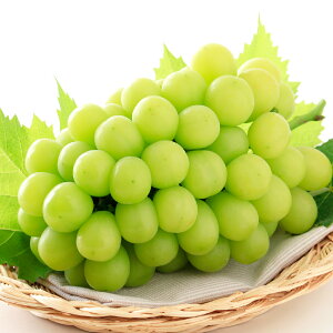 yӂ邳Ɣ[ŁzVC}XJbg  Iׂeʁ 1[i700gȏj / 2[iv1.4kgȏj Ԃǂ uhE  t[c ʕ ʎ  x 嗱 Ȃ 炲 ① R