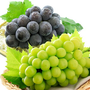 yӂ邳Ɣ[Łz햳 Ԃǂl VC}XJbg j[sI[l e1[ v2[iv1.2kgȏj Ԃǂ uhE  Ȃ t[c ʕ ʎ  lߍ킹 Zbg ① 