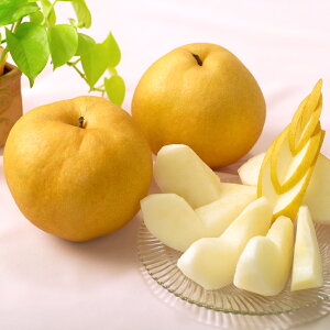 yӂ邳Ɣ[Łz 2 v1.8kgȏ  Ȃ iV ԗ  t[c ʕ ʎ  RY Y R q~s  y2026N11{`12{\z