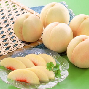 yӂ邳Ɣ[ŁzR 5`7ʁiv1.5kgȏj Iׂi큄 P / [┒Eܖ /     t[c ʕ ʎ  ① RY Y R q~s 