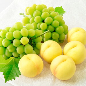 yӂ邳Ɣ[Łz Ԃǂ Ri5ʁjƃVC}XJbgi2[jl v2.7kgȏ      Ԃǂ uhE t[c ʕ ʎ  lߍ킹 Zbg ① 