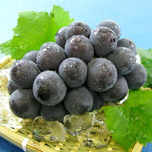 yӂ邳Ɣ[Łz j[sI[l 1[i600gȏj Ԃǂ s\  uhE 嗱 t[c ʕ ʎ  ① RY Y R q~s  y2026N8{`9{