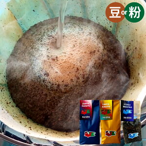 yӂ邳Ɣ[Łz߃R[q[ v300gi100g×3j3 Iׂށ ̂܂ / ɔ҂ R[q[   ƒp Mtg 蕨 v[g  R q~s 