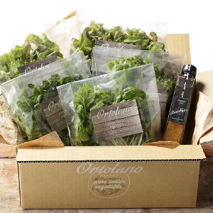 yӂ邳Ɣ[ŁzyOrtolanozt@[XgNX̃T_hbVOZbg A / B IׂZbge ߖ oWX^C^AhbVO oWX^oWrlK[ oW