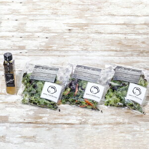 yӂ邳Ɣ[ŁzyOrtolanozt@[XgNX@H񋟂̃T_Zbg t@[XgNXJbgT_i2pbNjE[t~bNXT_i1pbNjEoWX^C^AhbV