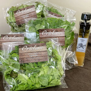 yӂ邳Ɣ[ŁzIׂZbgeyOrtolanozt@[XgNX̃T_ZhbVOZbg S-1 / S-2 t@[XgNXJbgT_ ߖ ZhbVO oWX