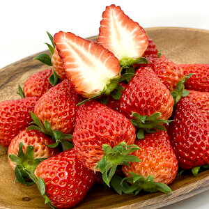 yӂ邳Ɣ[Łz ܂ 4pbN l 1080g q~Y gق  RY@ ʕ t[c Â _ _Ȃ ₩  R y2025N12{`2026N3{