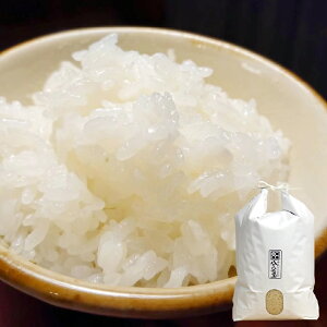 yӂ邳Ɣ[Łzyߘa7NYzRq~sY ʍ͔| Iׂi큄qmqJ / ʂނ /  10kg@ Ђ̂Ђ R q~s 