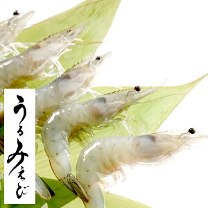 �y�ӂ邳�Ɣ[�Łz����݂��сi�Ⓚ�j SS�`4L �T�C�Y�����_�� �v��400g�i��100g×4�܁j ���ۖ��o�R���@�\ �D�G���o�܁u2���v�l�� �L������ �G�r �C�V ����� ���Y�� �C�N ���� ���i �M�t�g ����