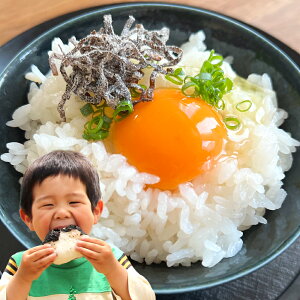 �y�ӂ邳�Ɣ[�Łz�y�ߘa7�N�Y�z ���� / ���� �q�~�s�Y �q�m�q�J�� 10kg ���I�ׂ��ށ� ���� ���C�X ���� �Y������ ��H ���� �c�� ���� �S�� �e�� ���� ���� �������� ���ɂ��� ���ٓ� ���R��