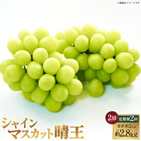 【ふるさと納税】[HS]【2回定期便】シャインマスカット 晴王 ＜選べる内容量＞ 1回あたり2房 計約1kg～計約1.4kg マスカット ぶどう ブドウ 葡萄 フルーツ くだもの 果物 果実 デザート 冷蔵 国産 岡山県産 倉敷市 送料無料 【2026年9月上旬～10月下旬発送予定】