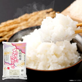 【ふるさと納税】【令和7年産】岡山県産 あきたこまち 計10kg（5kg×2袋） お米 米 こめ コメ 白米 うるち精米 単一原料米 ごはん ご飯 和食 国産 岡山県 倉敷市 送料無料
