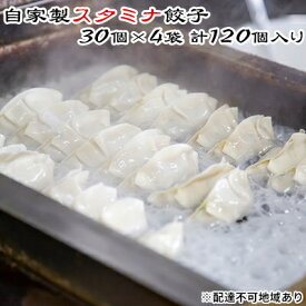 【ふるさと納税】にんにくたっぷり冷凍餃子 30個×4袋 合計120個入 皮から手作りのこだわり お子様にも大人気（ぎょうざ ギョーザ）もりもり亭 岡山県産　【 惣菜 点心 中華料理 夕飯 おつまみ おかず 】