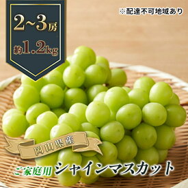 【ふるさと納税】ぶどう 2024年 先行予約 ご家庭用 シャイン マスカット 2～3房 合計約1.2kg ブドウ 葡萄 岡山県産 国産 フルーツ 果物 ギフト　【 果物 ぶどう フルーツ デザート スイーツ 高糖度 甘い 種なし 大粒 人気 皮ごと 】　お届け：2024年9月上旬～2024年10月下旬