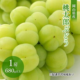 【ふるさと納税】ぶどう 2024年 先行予約 桃太郎 ぶどう 1房 680g以上（無加温栽培）贈答用 ブドウ 葡萄 岡山県産 国産 フルーツ 果物 ギフト　【 果物 フルーツ 岡山のぶどう 】　お届け：2024年9月上旬～2024年10月中旬