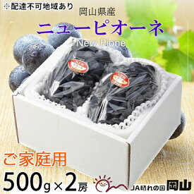 【ふるさと納税】ぶどう 2024年 先行予約 ご家庭用 ニュー ピオーネ 約500g×2房 ブドウ 葡萄 岡山県産 国産 フルーツ 果物　【 種なし 大粒 甘い 果汁 高糖度 酸味 バランス 岡山のぶどう 】　お届け：2024年8月下旬～2024年9月下旬