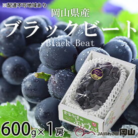 【ふるさと納税】ぶどう 2024年 先行予約 ブラックビート 約600g×1房 ブドウ 葡萄 岡山県産 国産 フルーツ 果物 ギフト　【 果物 フルーツ デザート 食後 大粒 種無し 黒ぶどう 甘味 酸味 バランス 】　お届け：2024年8月中旬～2024年9月上旬